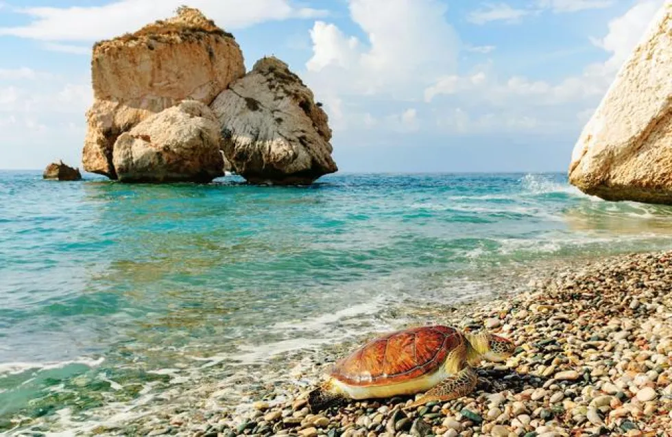 Treasures of Cyprus: Ντοκιμαντέρ για τον πολιτισμό της Κύπρου στο BBC