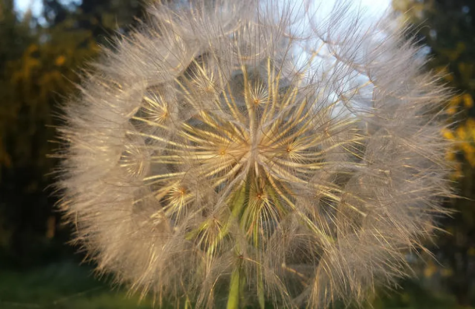ΗΜΕΡΟΛΟΓΙΟ ΑΥΤΟΠΕΡΙΟΡΙΣΜΟΥ|Μέρα 49η