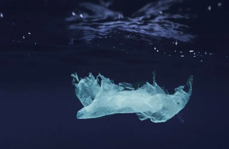 «Sea Blindness: What Lies Beneath the Waves» | Από τις 22 Σεπτεμβρίου στο NeMe 